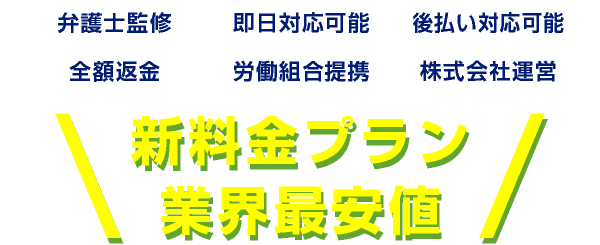 新料金プラン業界最安値